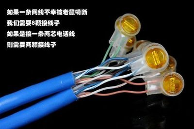 网络接线 K1与K2接线子的选择指南